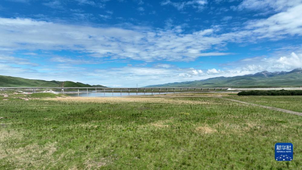 365开心川麻安卓版